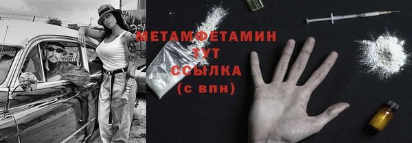 шишки Гусев