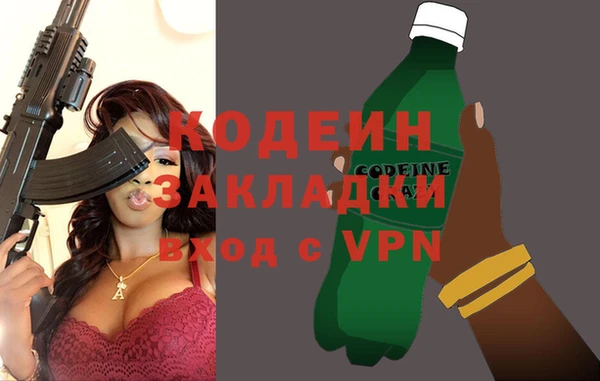 шишки Гусев