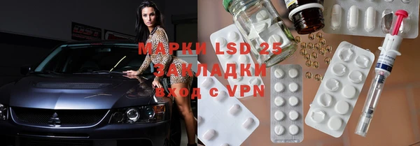 шишки Гусев