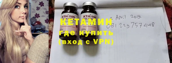 шишки Гусев