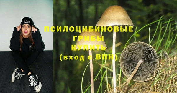 шишки Гусев
