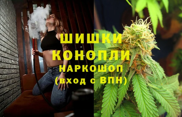 spice Гусь-Хрустальный