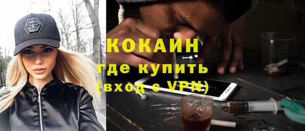 стаф Сосновый Бор