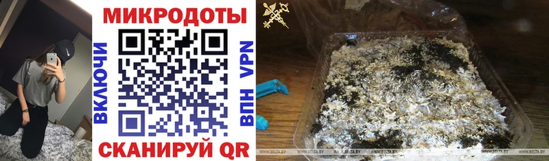 Псилоцибиновые грибы Psilocybine cubensis  OMG ТОР  Макаров 